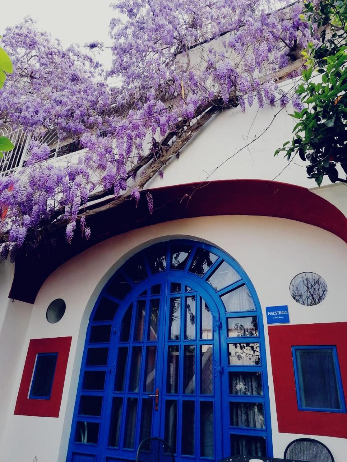 Dimora Coloniale B&B Forio di Ischia Dış mekan fotoğraf
